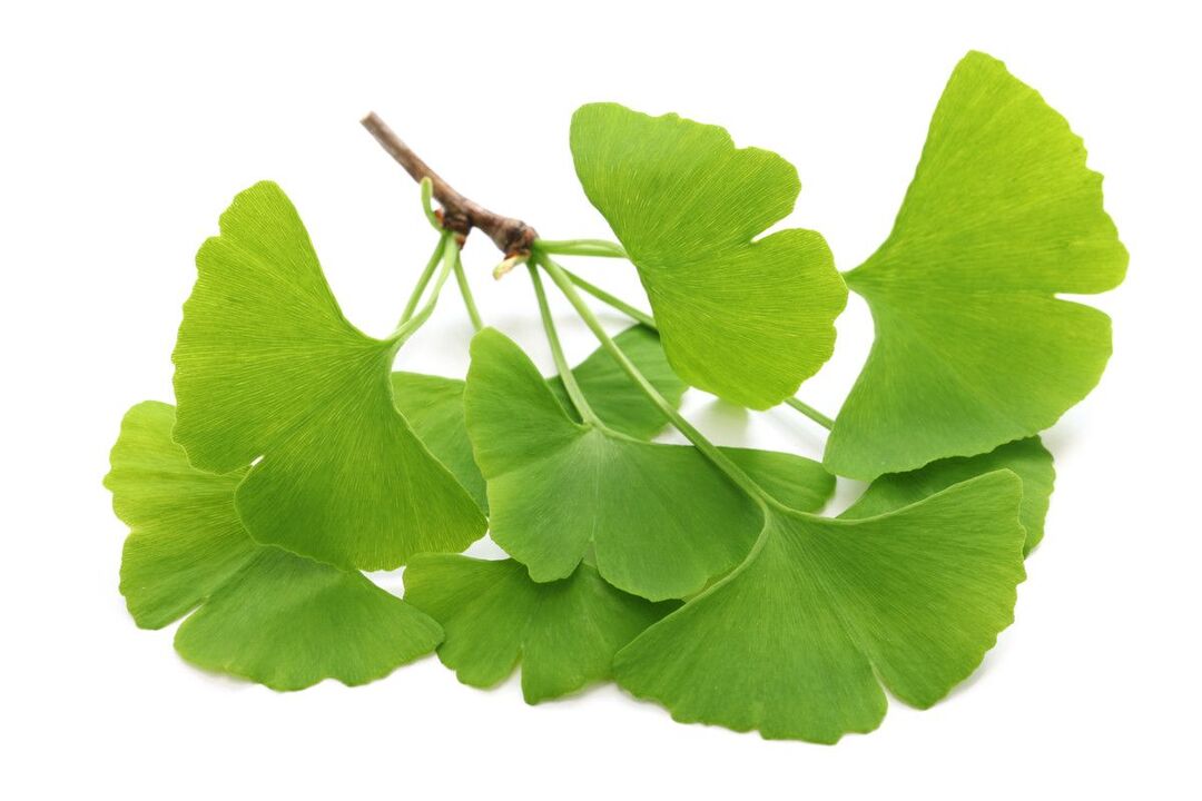 ginko biloba tantetan Alcozar